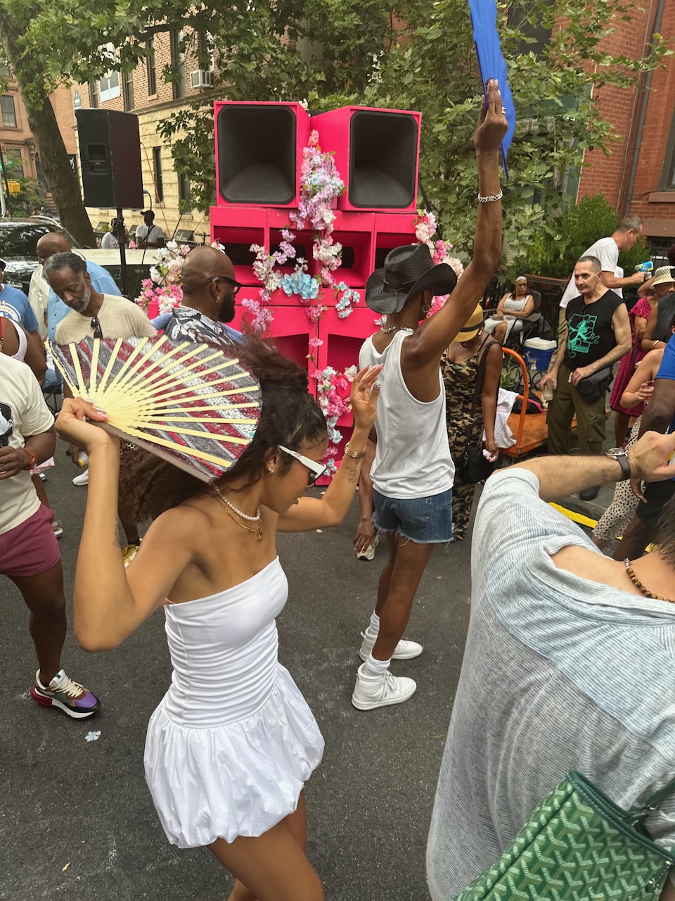 Karlala Soundsystem block party Ft Greene