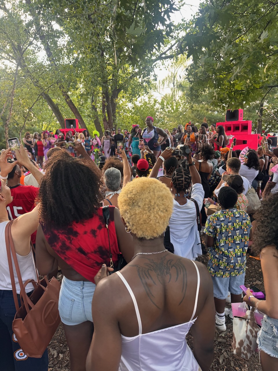 Outdoor daytime show